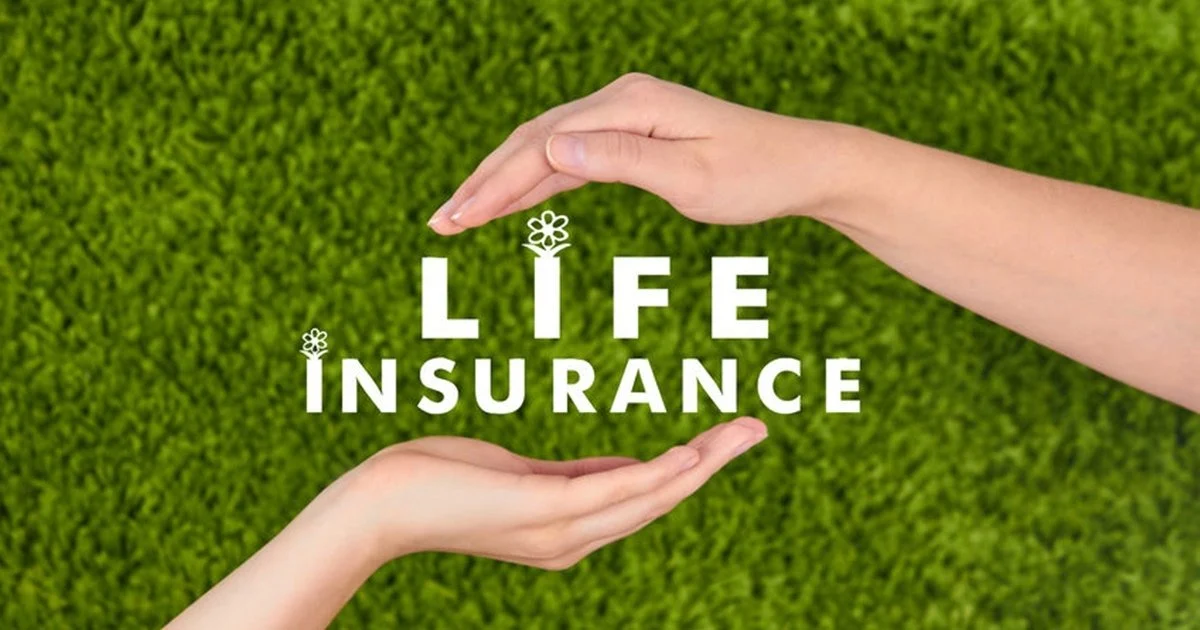 Low-Premium Life Insurance for Students with No Experience