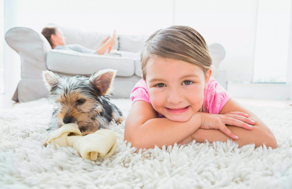 Does Renters Insurance Cover Pet Damage to Carpet